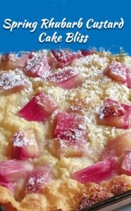 Spring Rhubarb Custard Cake Delight