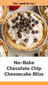 No Bake Chocolate Chip Cheesecake Delight