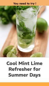 Refreshing Virgin Mojito for Summer